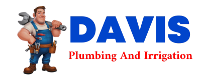 Trusted plumber in STANDARD